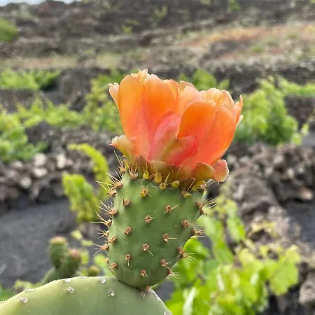 Casa Sol Azul * פוארטו קאלרו